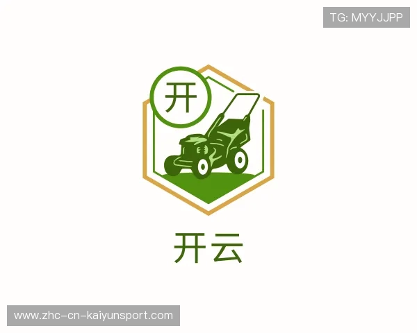 了解开云安全加密平台